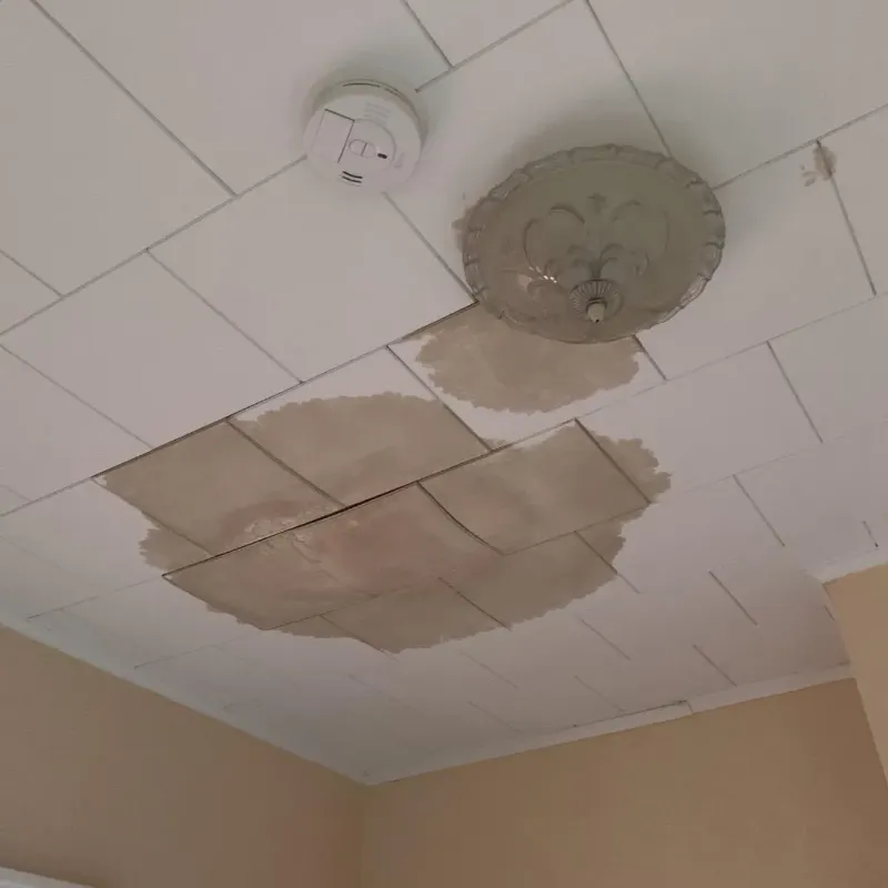 Ceiling Water Damage Repair in Collinsburg, PA