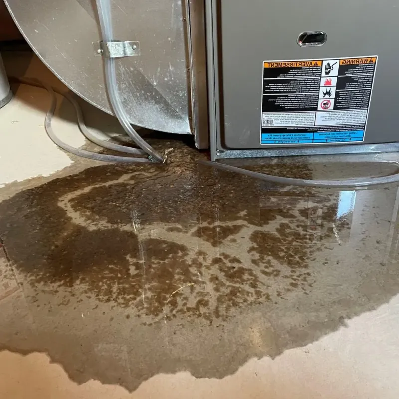 Pipe Burst and Leak Restoration in Collinsburg, PA