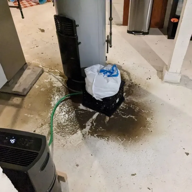 Sewage Backup Cleanup Service in Collinsburg, PA